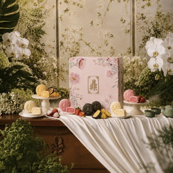 Assorted Snow Skin Mooncakes - Fruity Flavours Back By Popular Demand